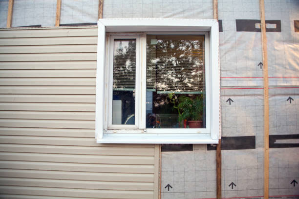 Affordable Siding Repair and Maintenance Services in Galesburg, IL